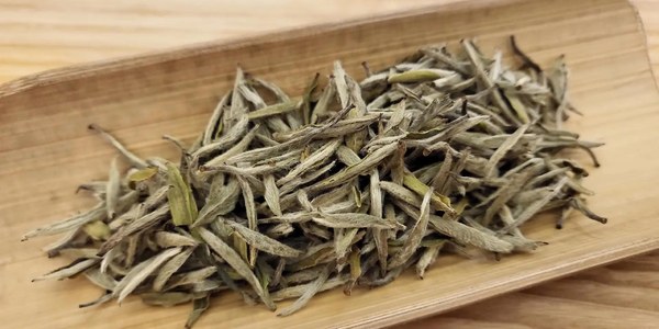 Silver Needle