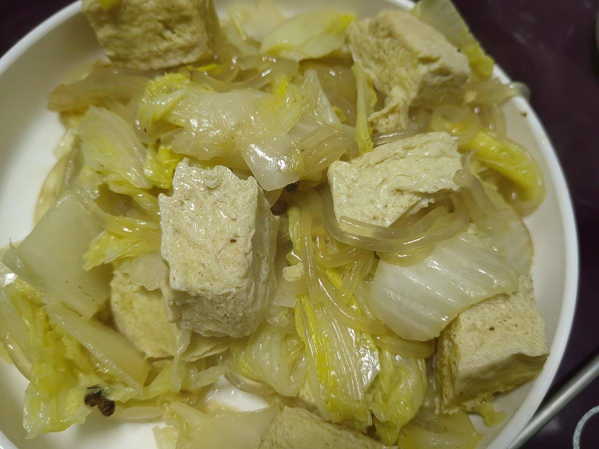 The second half of a hot pot meal — napa cabbage, frozen tofu and glass noodles, the vegetables that drink the lamb-flavoured water