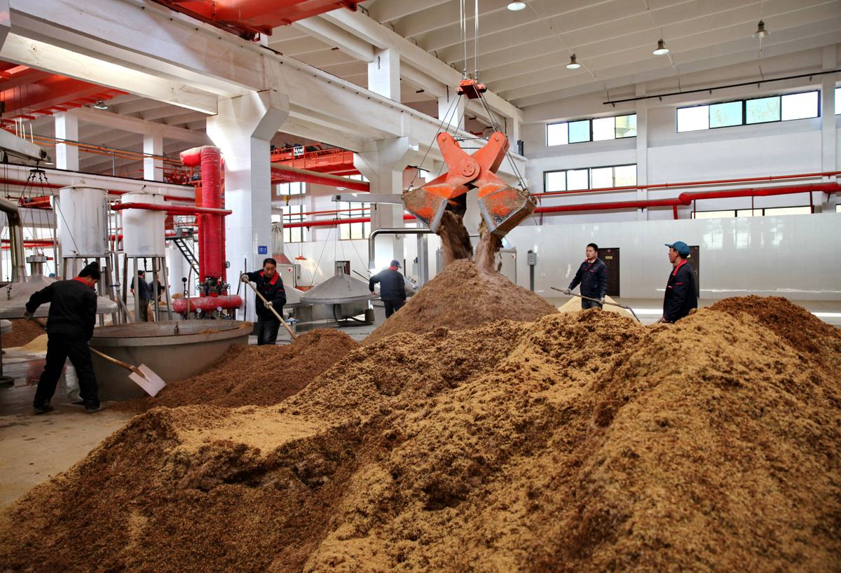 Workers spreading steaming sorghum across the floor of a distillery workshop