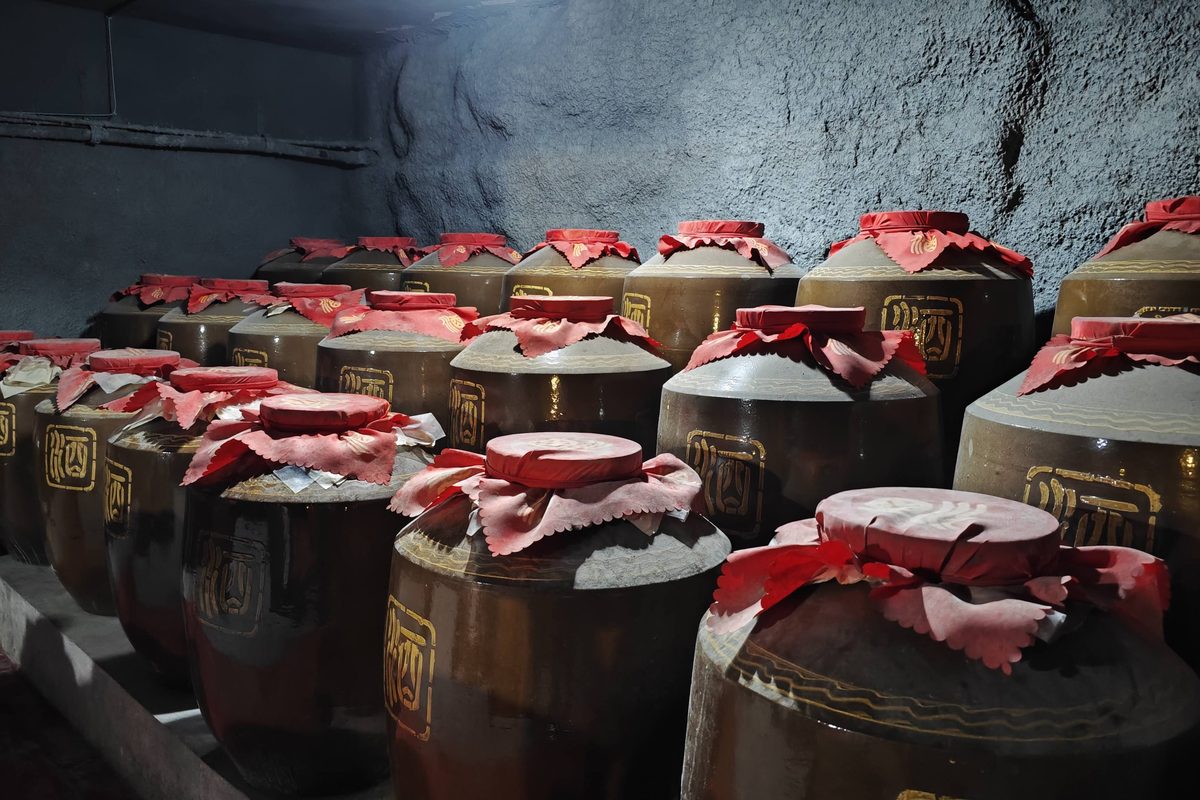 Rows of sealed earthenware wine jars resting in a dim cellar