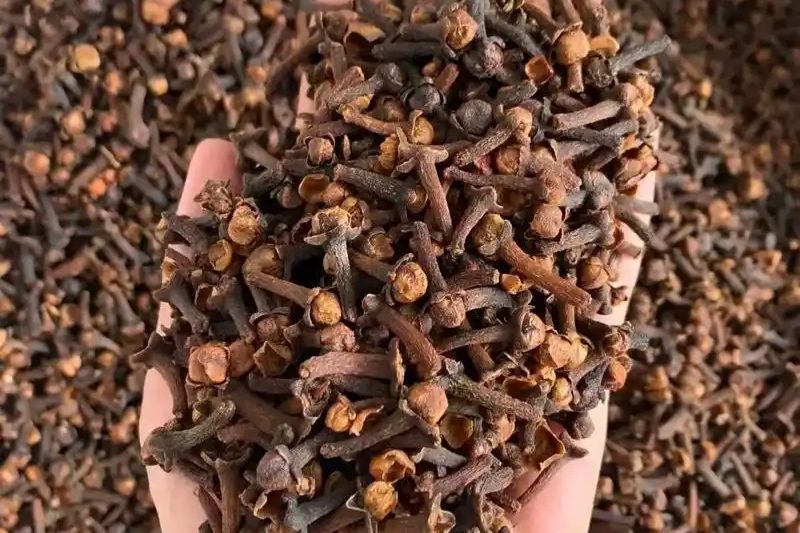 Cloves