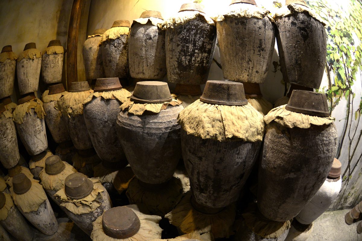 Rows of clay huangjiu jars sealed with dried leaf caps in a Shaoxing storage hall
