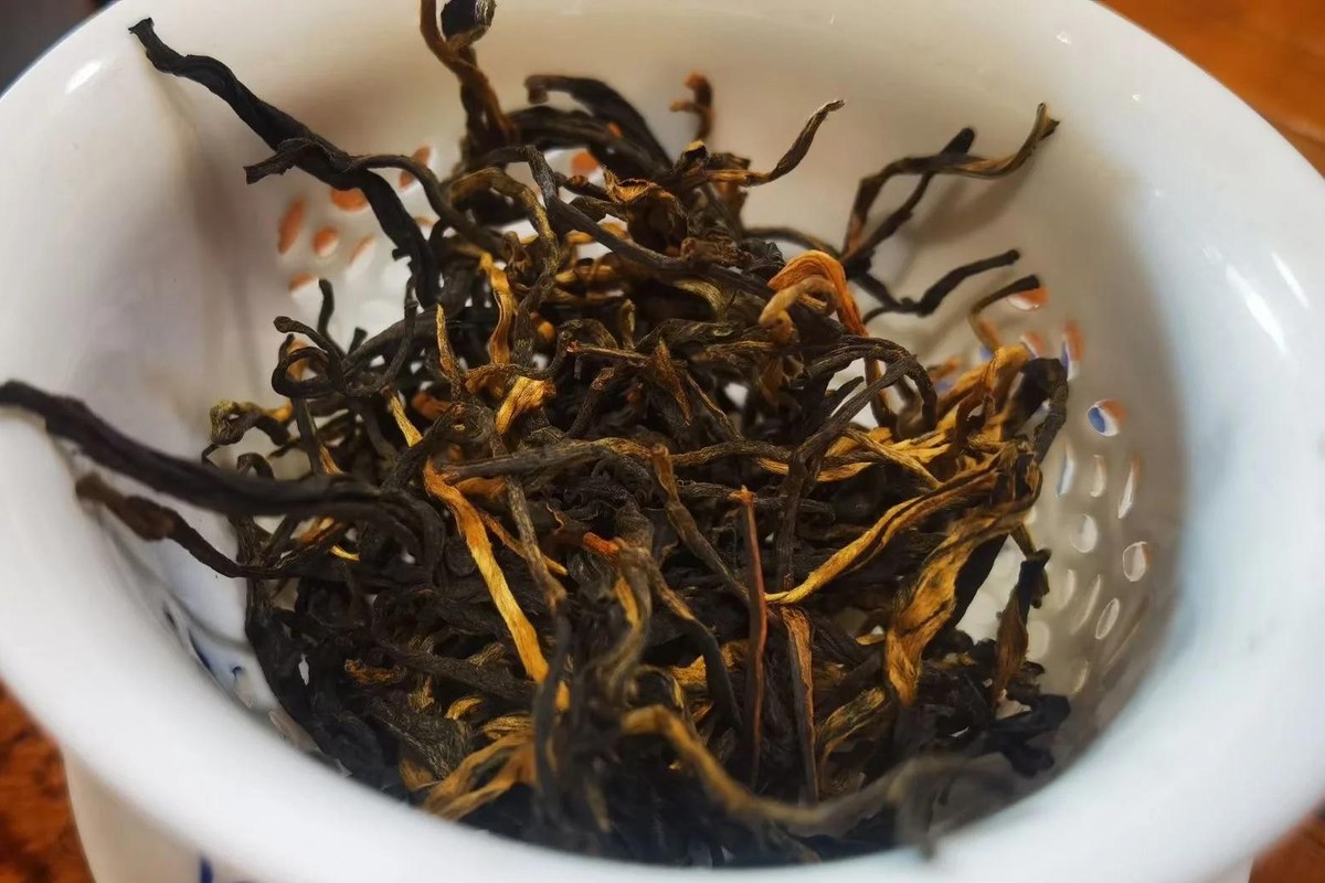 Dianhong — the honey-sweet black tea from Yunnan's big-leaf bushes, golden buds over bright red liquor