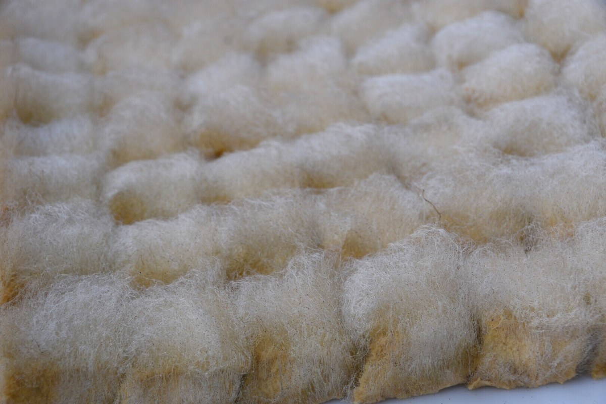 Hairy tofu close-up — raw tofu blocks under a dense coat of white mold fuzz, photographed before they hit the pan