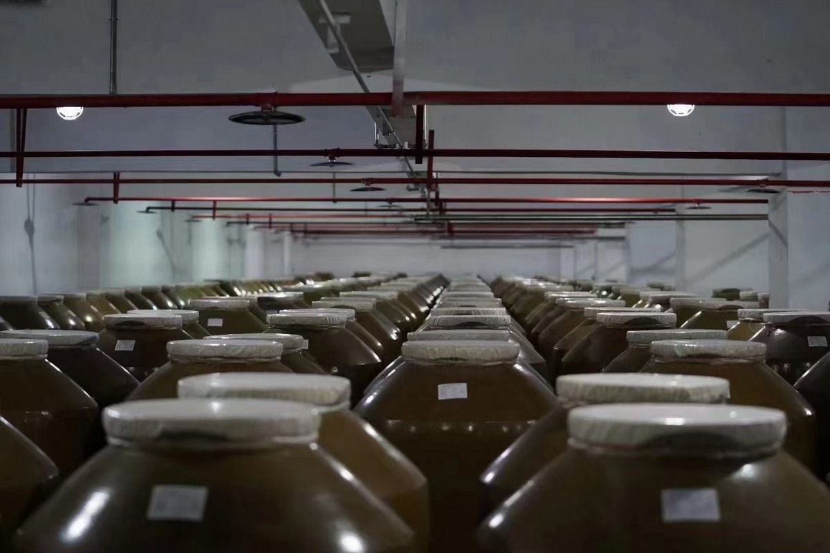 Rows of sealed earthenware spirit jars with white cloth lids in an aging hall