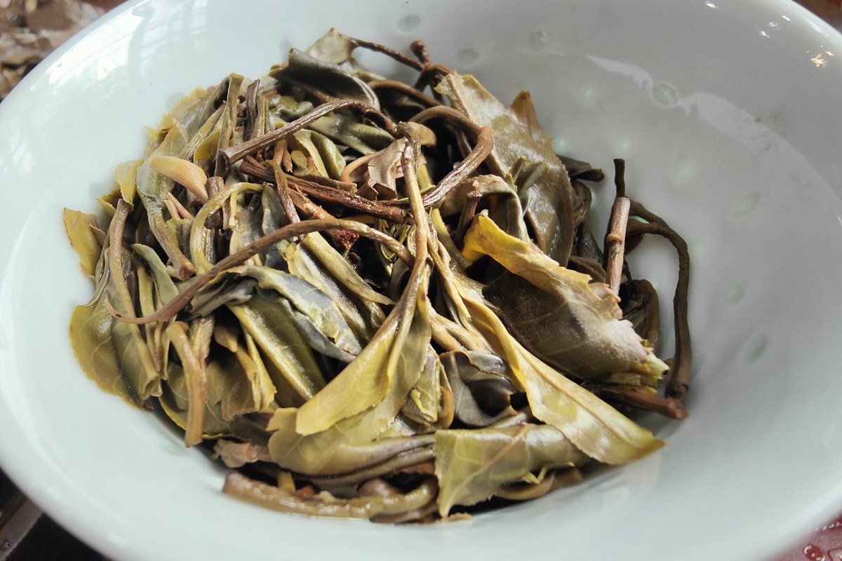 Sheng Pu'er — raw sun-dried tea pressed into an aged cake