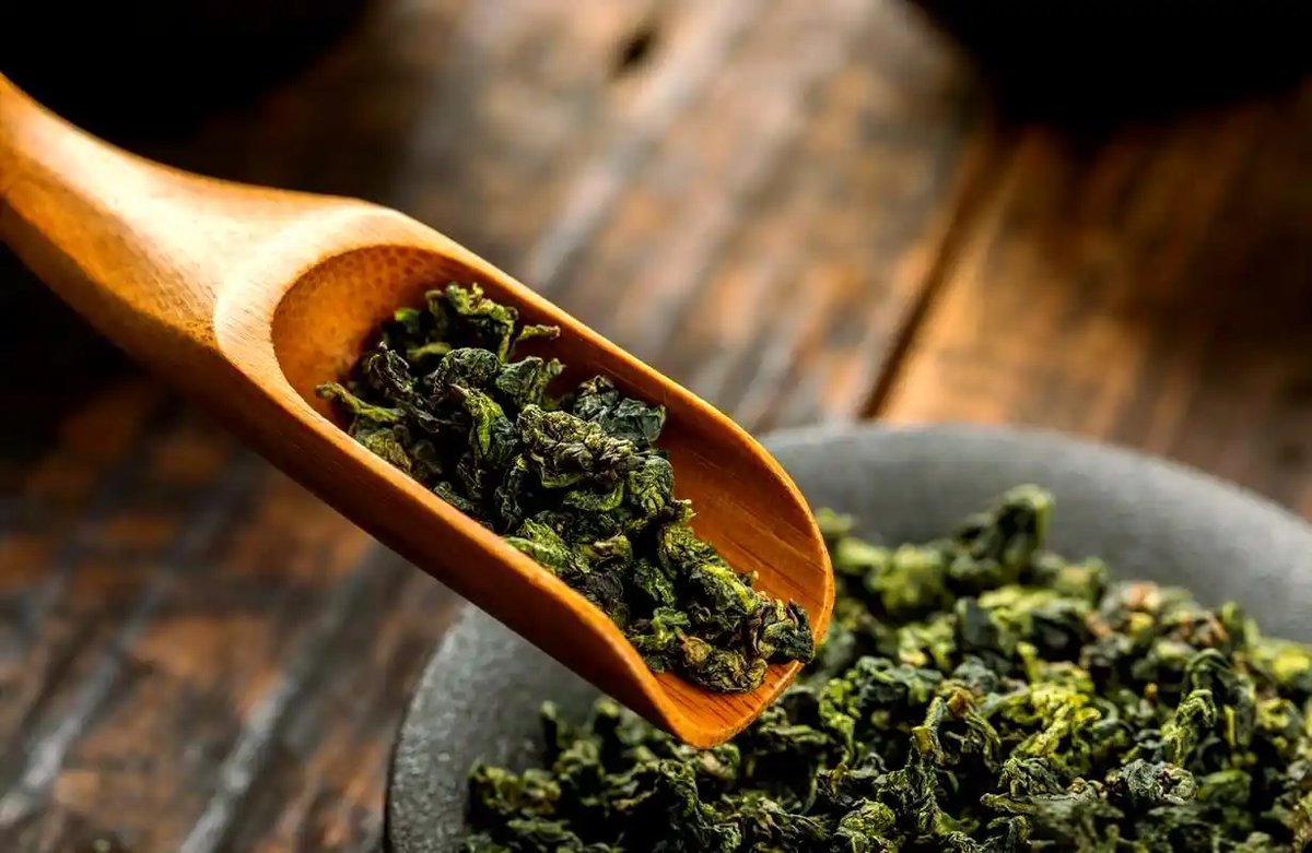 Oolong Tea