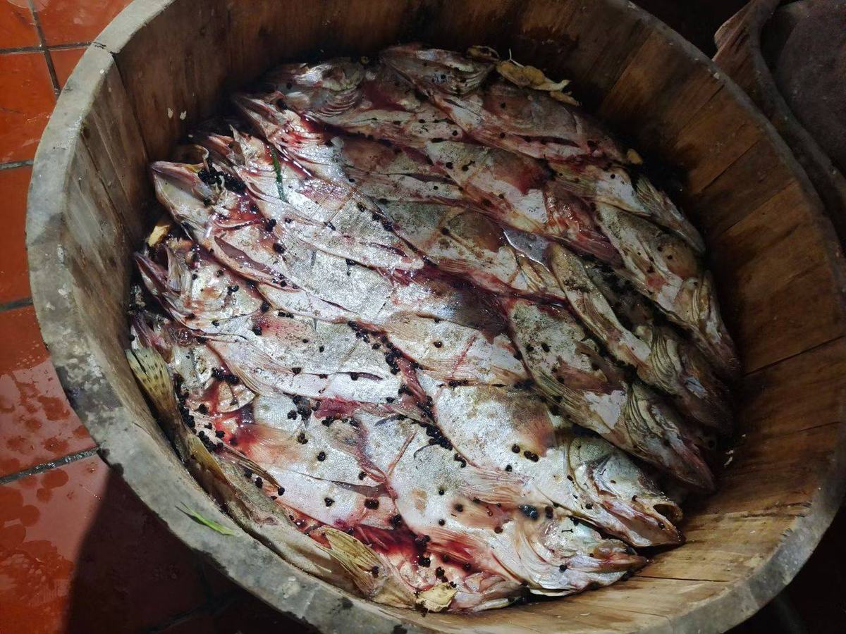 Mandarin fish split and layered with salt inside a wooden barrel, curing under brine in an Anhui wet market before it is braised