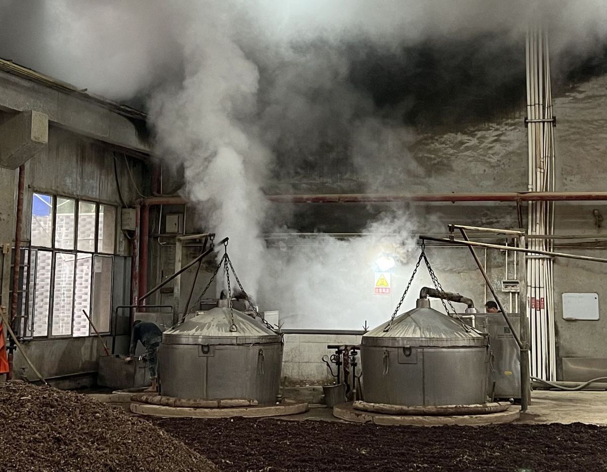 Steaming vessels and freshly unloaded grain on the floor of a working distillery