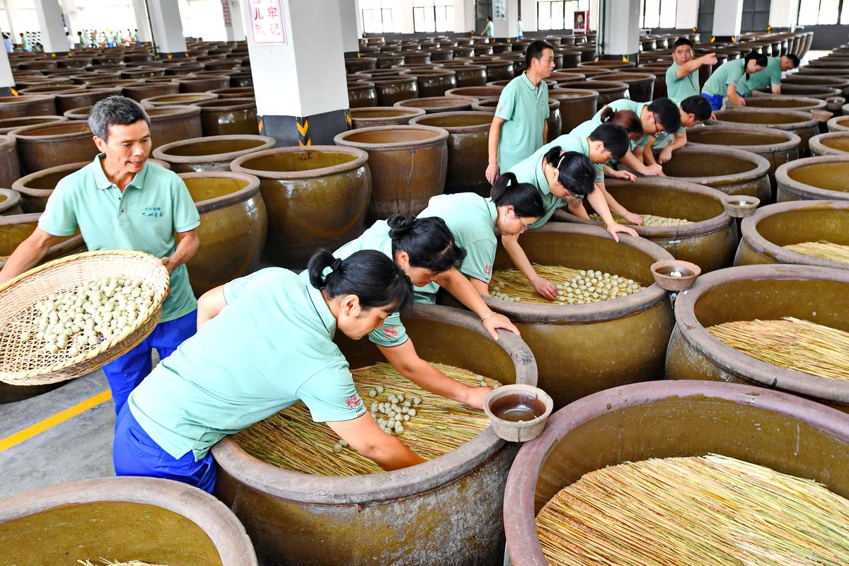 Rows of large earthenware fermentation vats in a Shaoxing huangjiu hall, straw mats on the rims, a worker carrying a basket of soaked rice