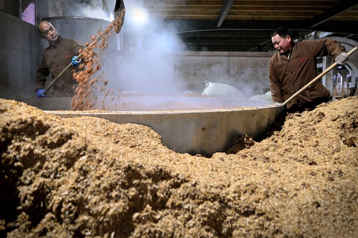 Two workers in brown work jackets raking a mound of steamed sorghum beside a steaming pan on a distillery floor